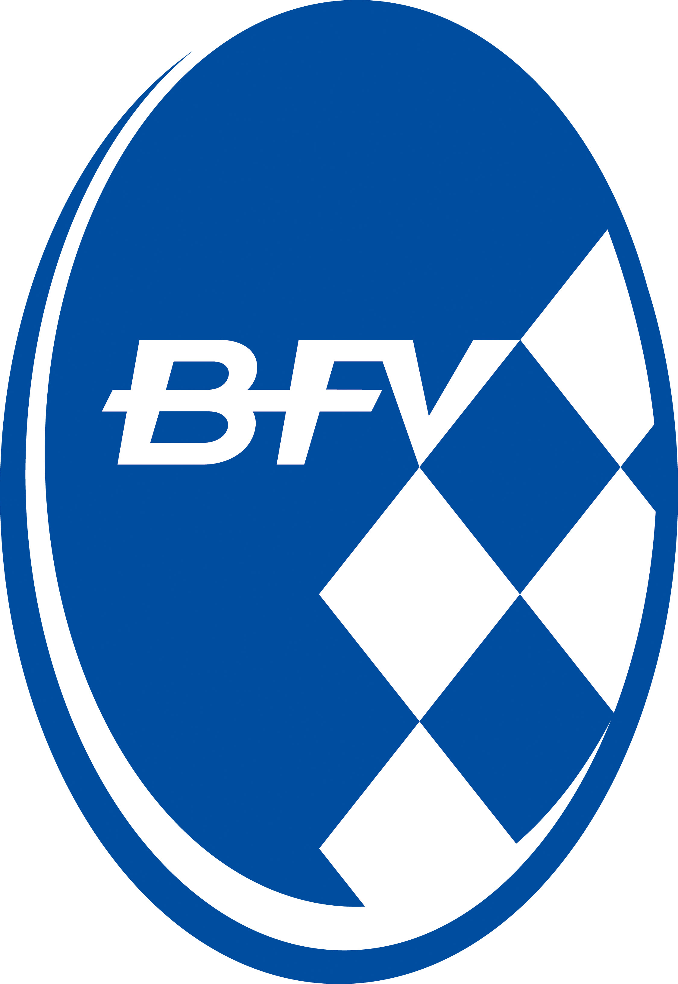 1. Bayerische Inklusionsmeisterschaft des BFV für Inklusionsteams und reine Handicap-Mannschaften