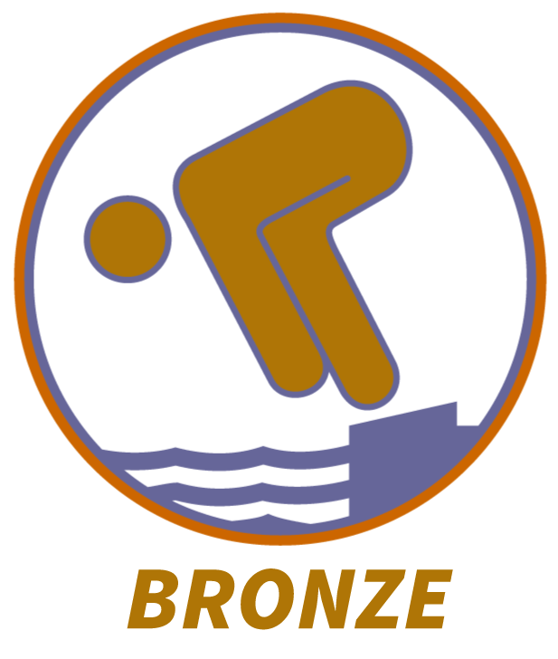 Deutsches Schwimmabzeichen Bronze